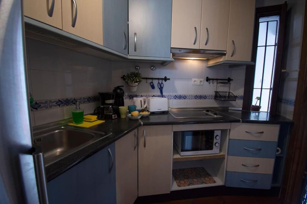格拉纳达Mirador Alhambra - 2 Private Terraces - Wifi -公寓 外观 照片