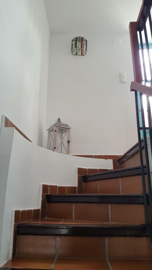 格拉纳达Mirador Alhambra - 2 Private Terraces - Wifi -公寓 外观 照片