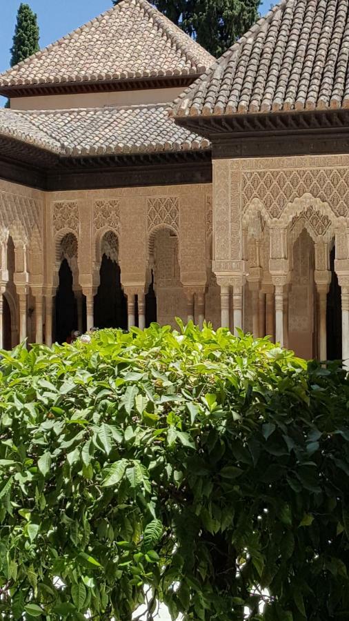 格拉纳达Mirador Alhambra - 2 Private Terraces - Wifi -公寓 外观 照片