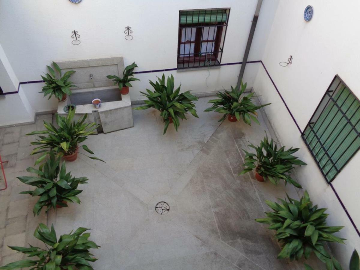 格拉纳达Mirador Alhambra - 2 Private Terraces - Wifi -公寓 外观 照片